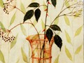 Rose | 1994 | 45 cm x 30 cm